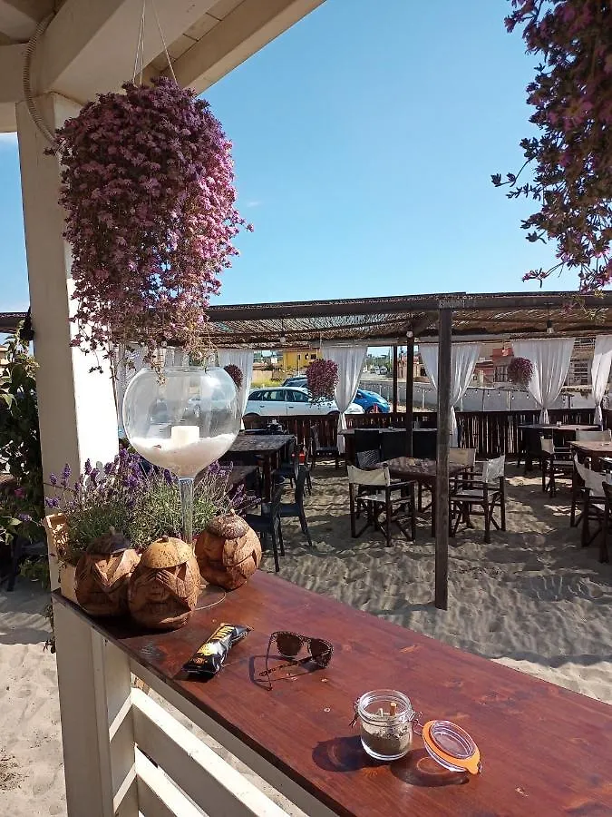 B&B Purple Italy Fiumicino Italia